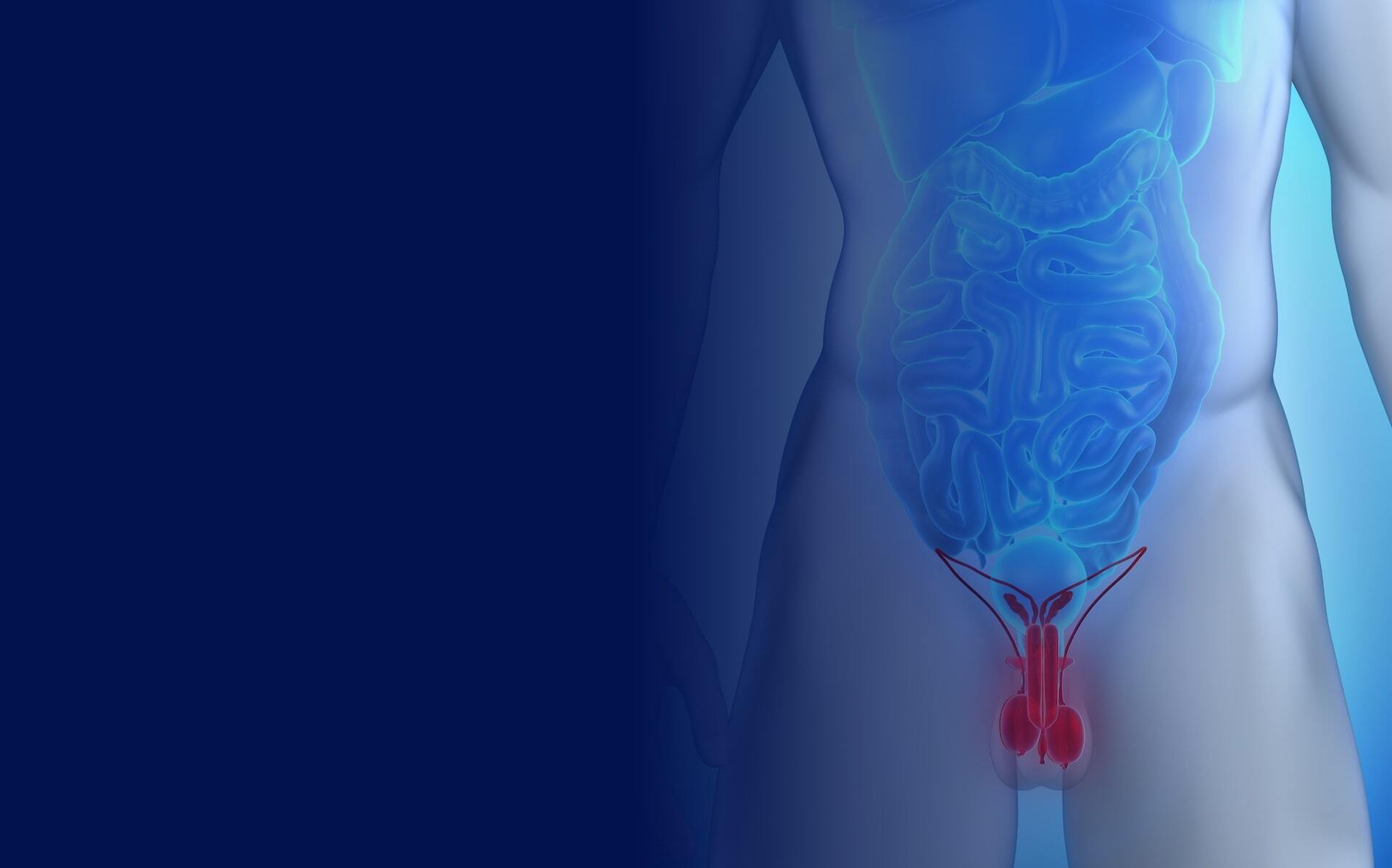 IFAR - Scrotectomy and Scrotoplasty  - banner-min