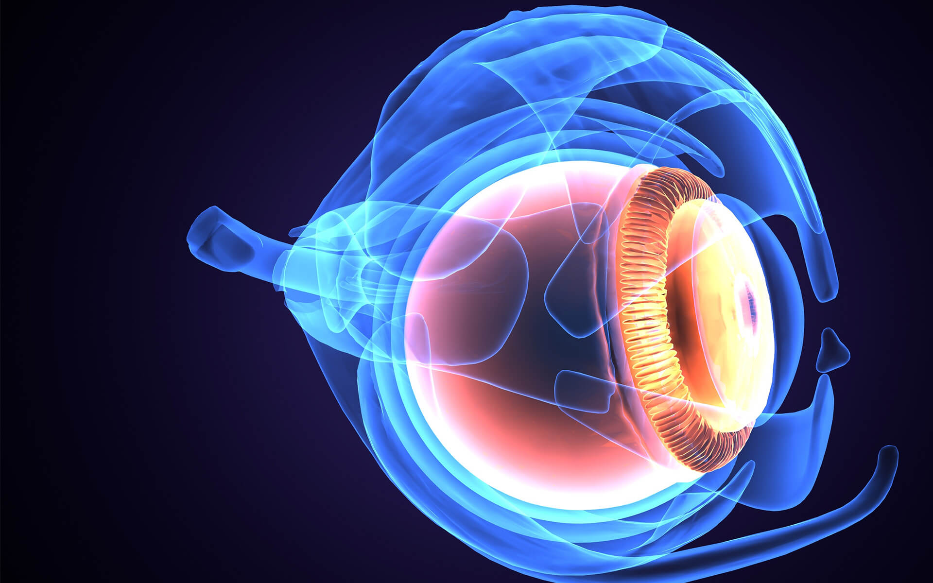 corneal-anesthesia