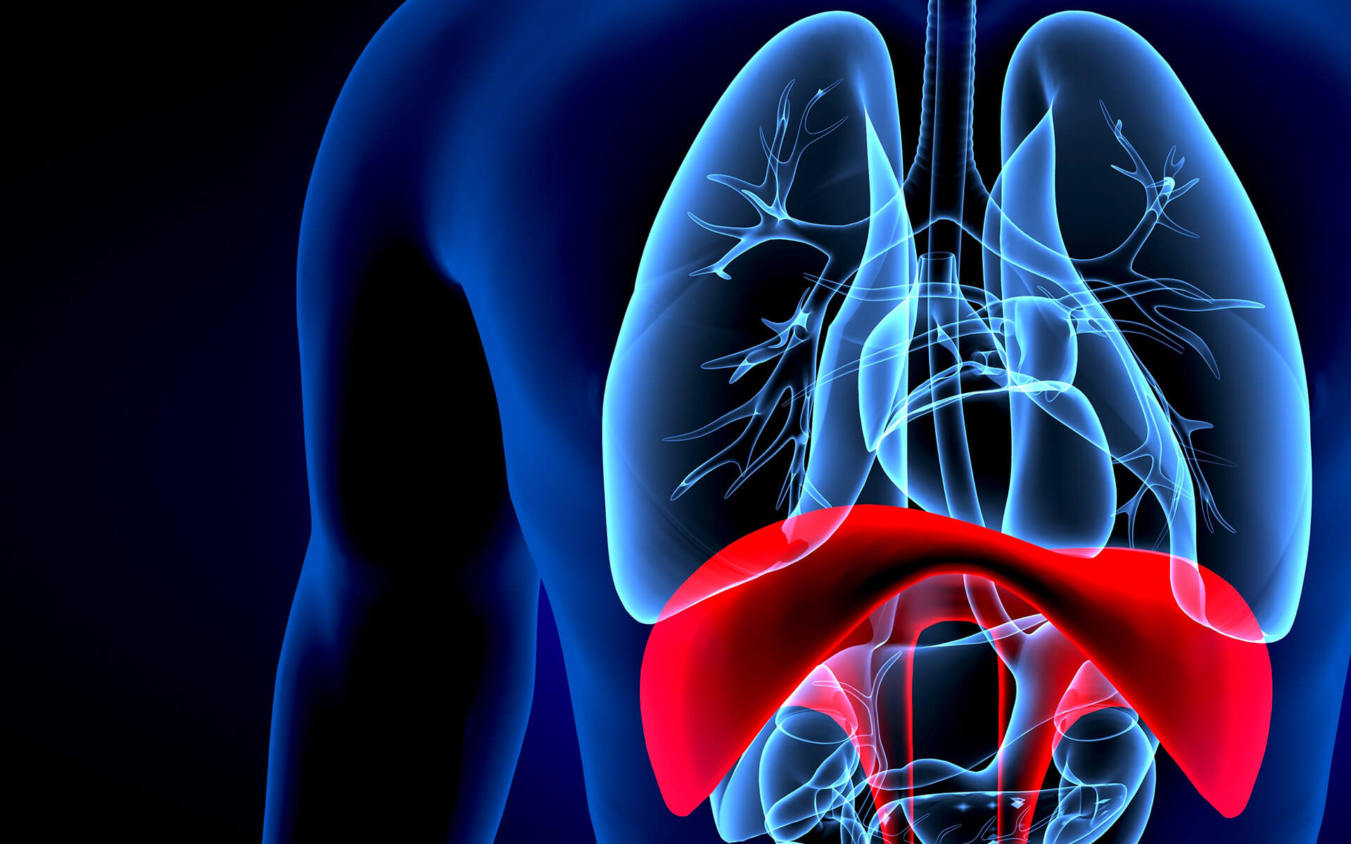 Diaphragm Paralysis Overview Symptoms, Diagnosis, & Treatments IFAR