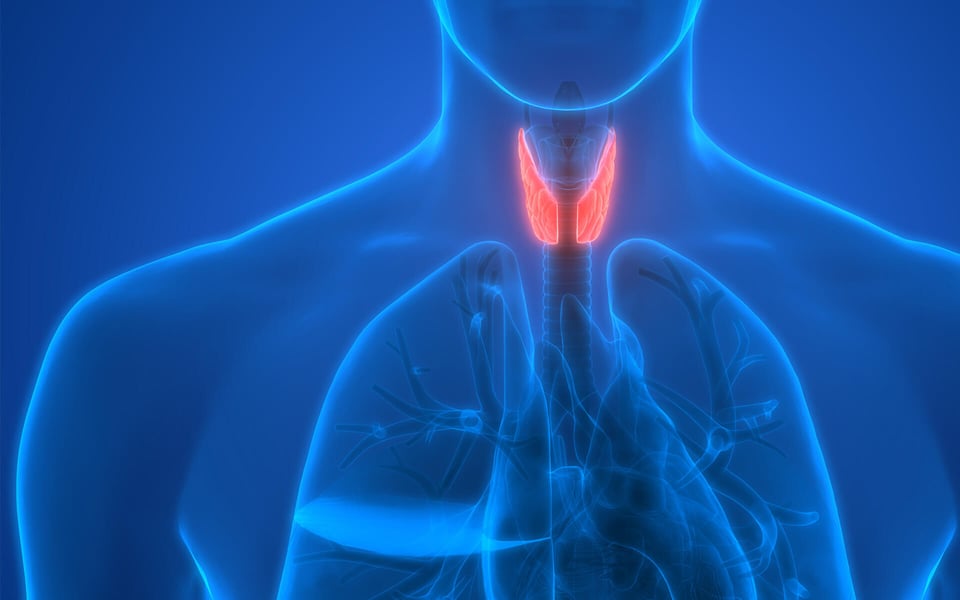 Graves' Disease Overview Symptoms, Diagnosis, & Treatments IFAR