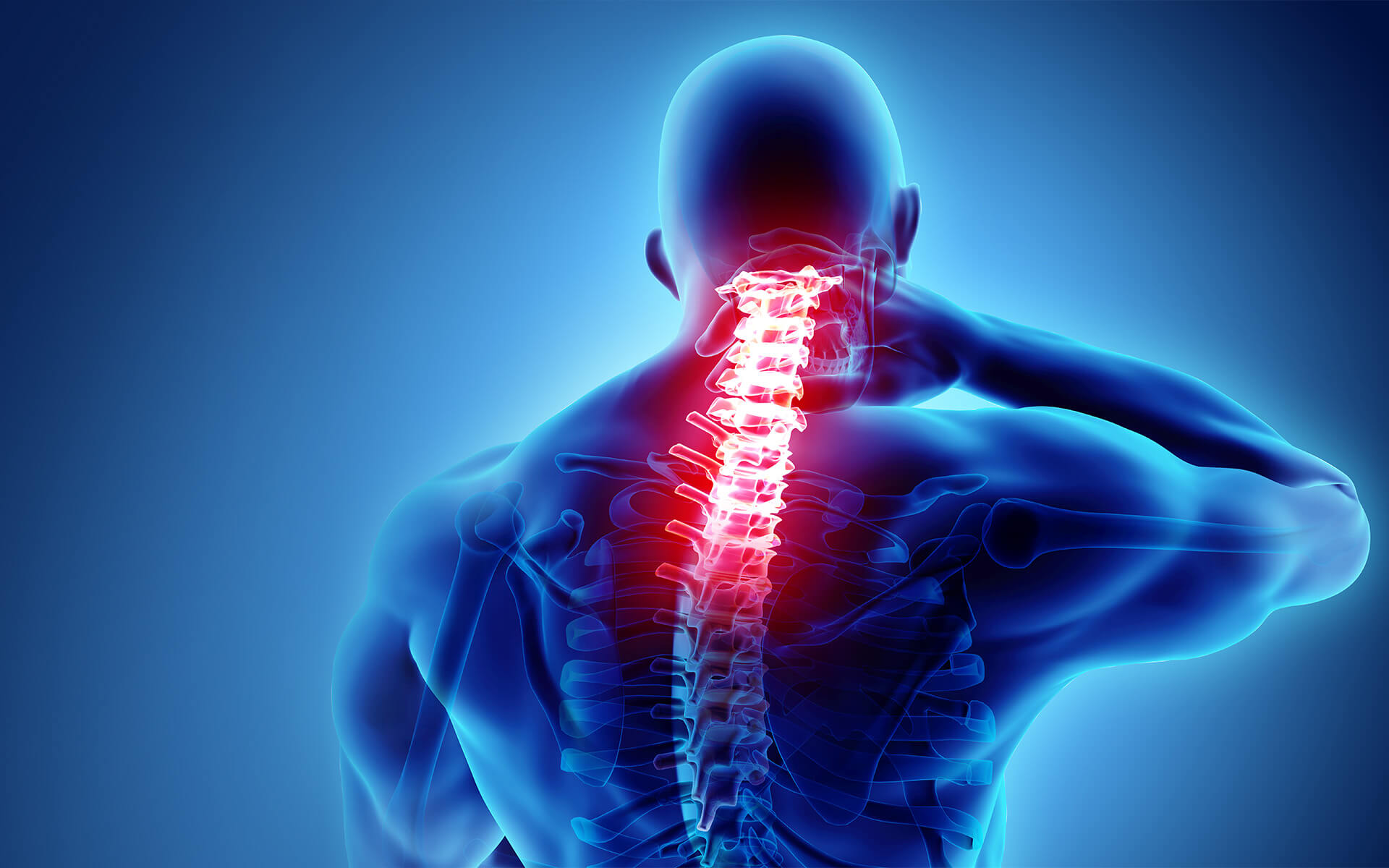 phrenic-nerve-spine-back