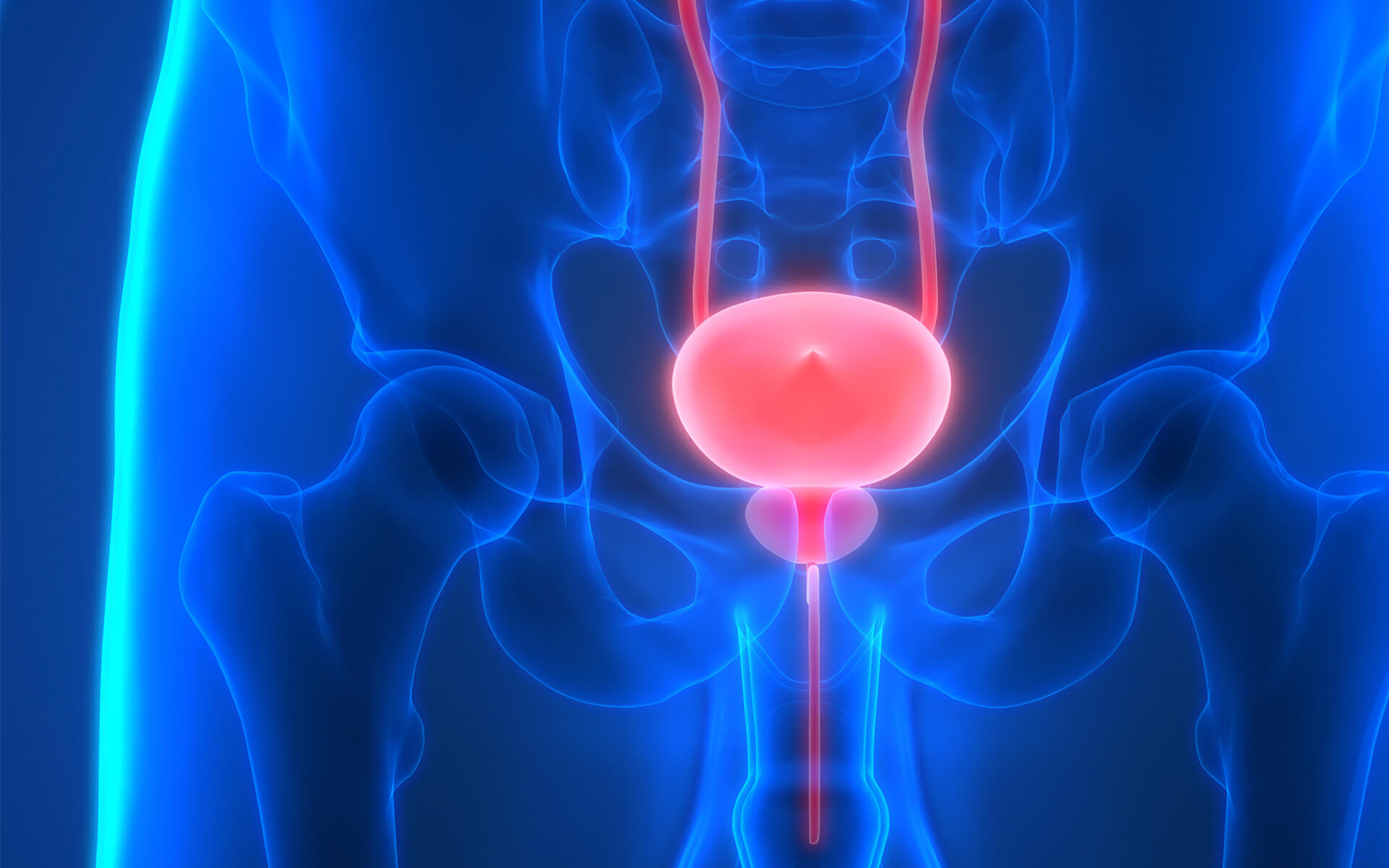 prostate-reconstruction