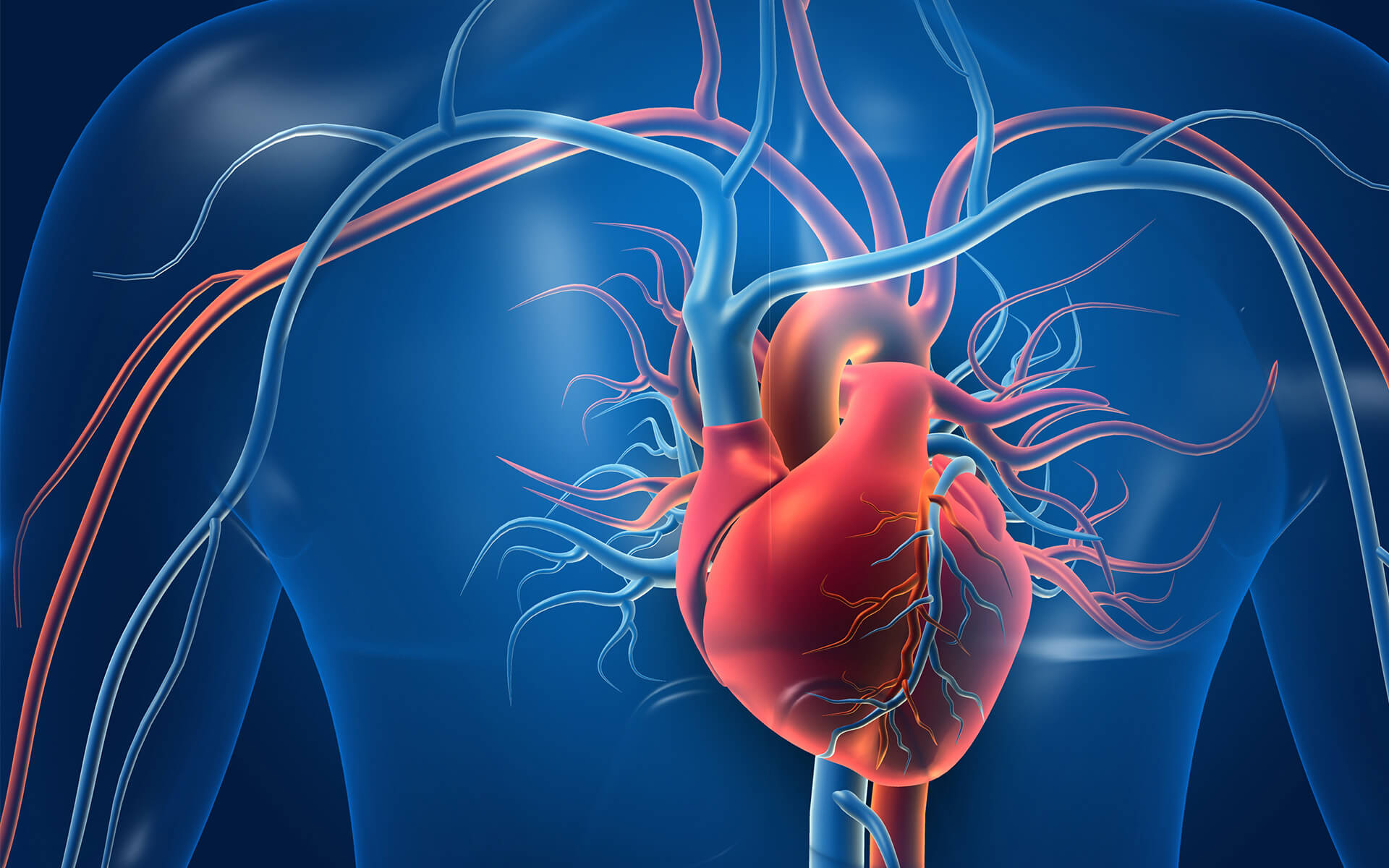 vascular-anomalies-heart
