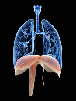 diaphragm paralysis