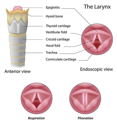 Swallowing Difficulties Treatment at The Institute for Advanced Reconstruction