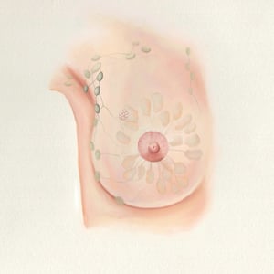 Stage II