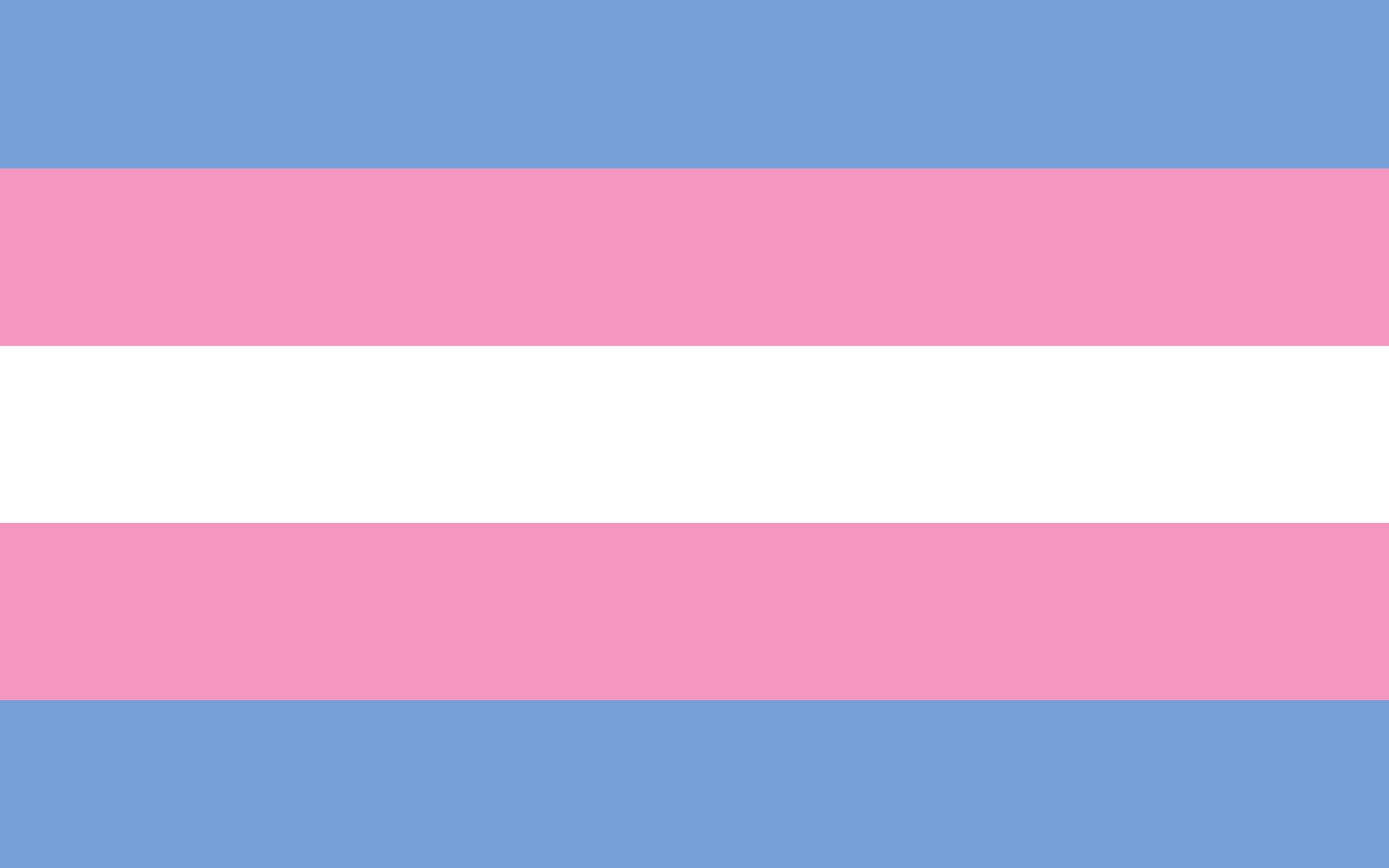 pink-blue-flag